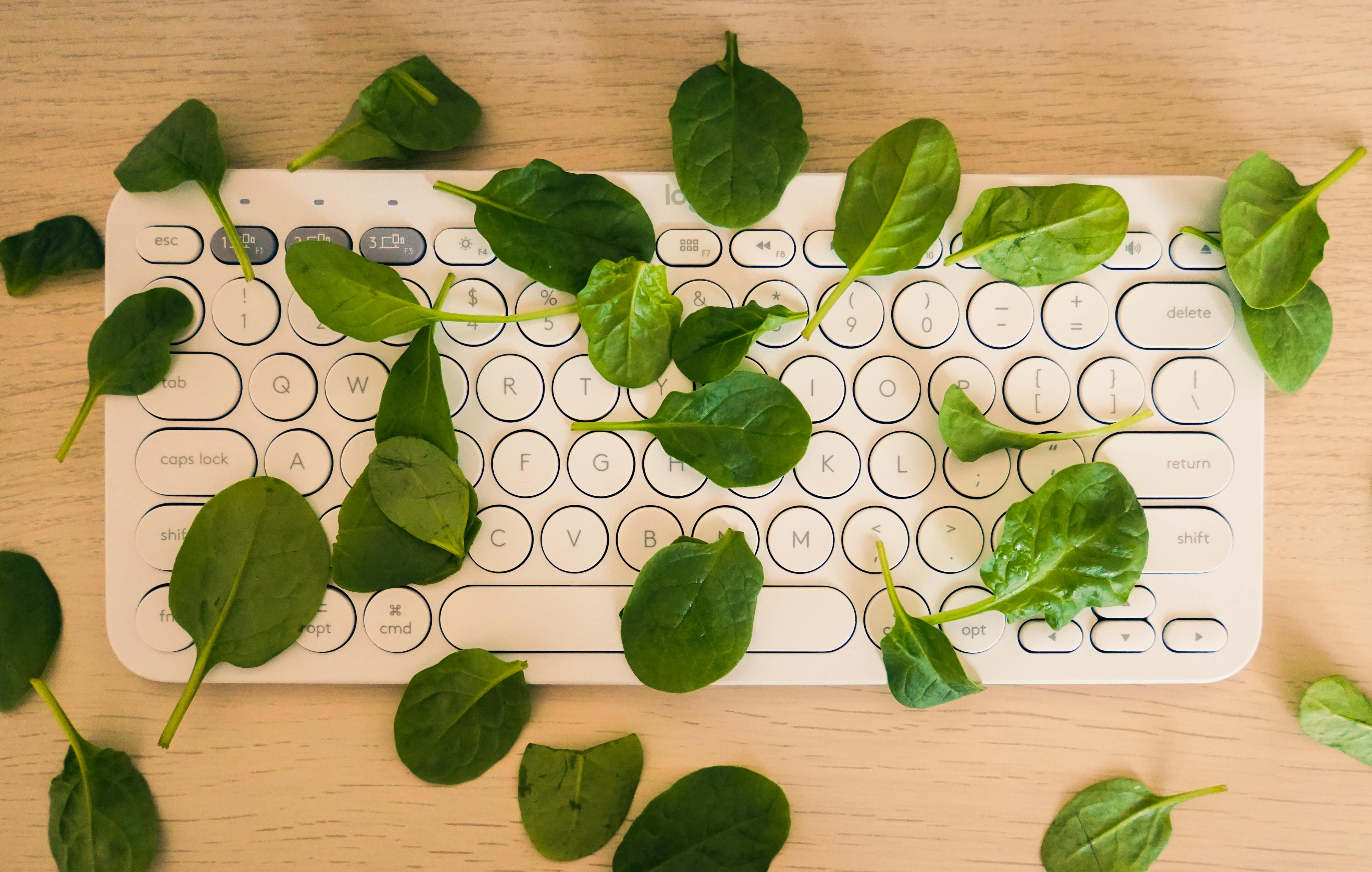 When Spinach Meets Technology: The Leafy Green that Sent Emails