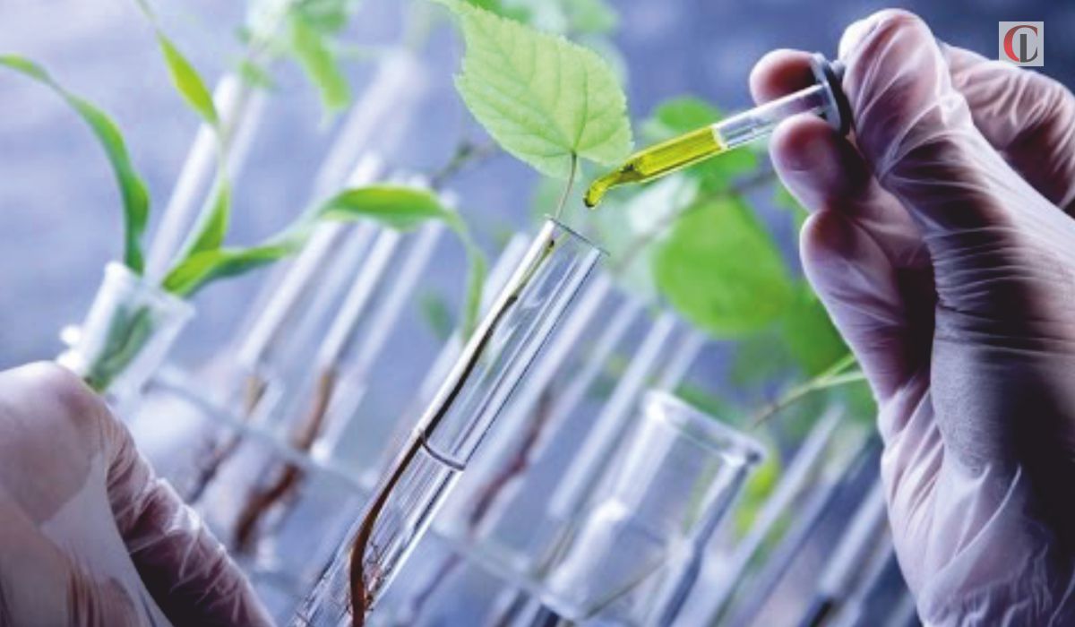 Biotechnology and Genomics: Revolutionizing Healthcare and Agriculture